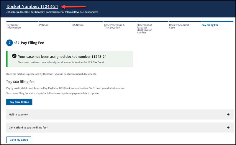 Screen capture of the DAWSON Step 7 of 7 page with an arrow pointing to the docket number.